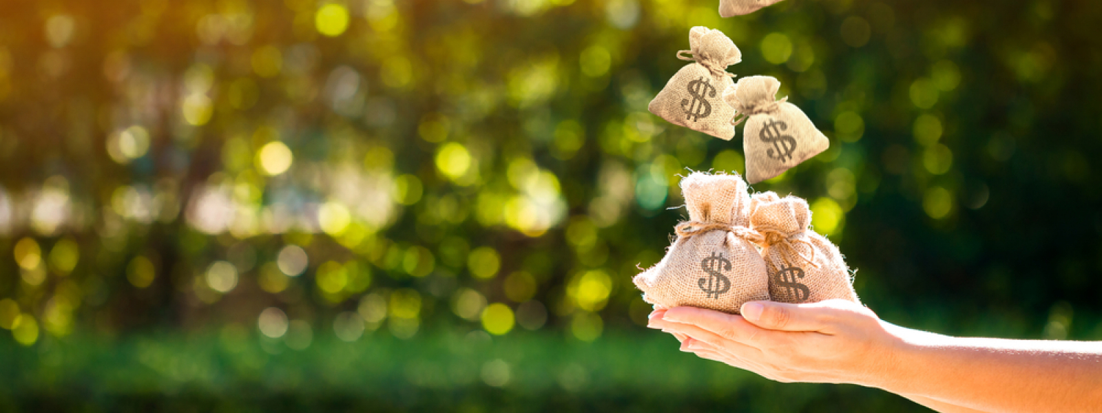 What is net worth: definition, calculation — Photo 1